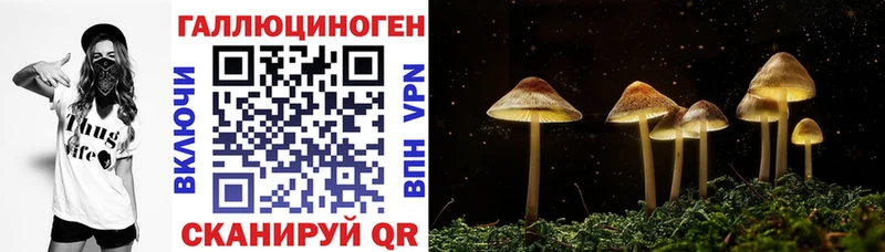 Галлюциногенные грибы прущие грибы  OMG tor  Мезень 